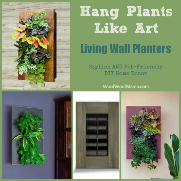 Hang Plants Like Wall Art Stylish & PetFriendly DIY Idea Woof Woof Mama