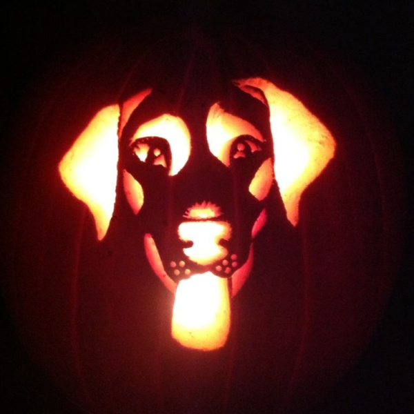 Dog Pumpkin Stencils for Halloween