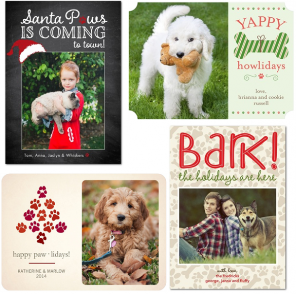 Get 10 FREE Pet-Themed Holiday Photo Cards | Woof Woof Mama