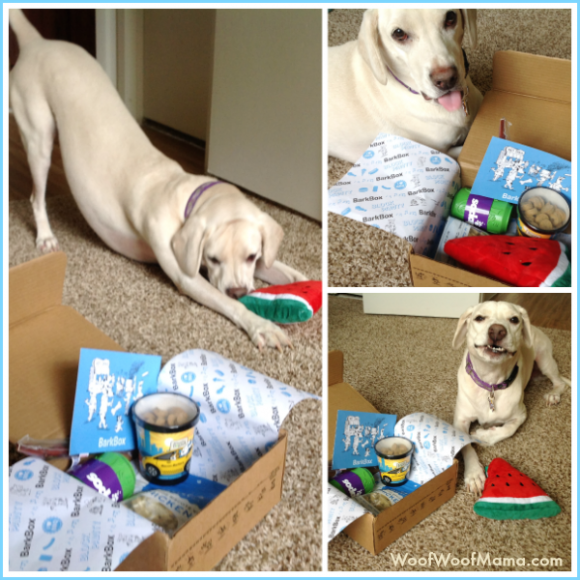 Grab a FREE BarkBox of Treats, Toys and Surprises for Your Dog! Woof