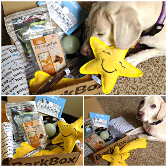 Give Your Dog the Gift of BarkBox + Get an Extra Month for FREE! Woof