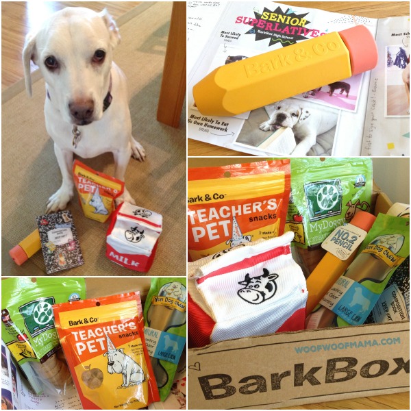Bark to School with Daisy September BarkBox Review + Buy One Month Get