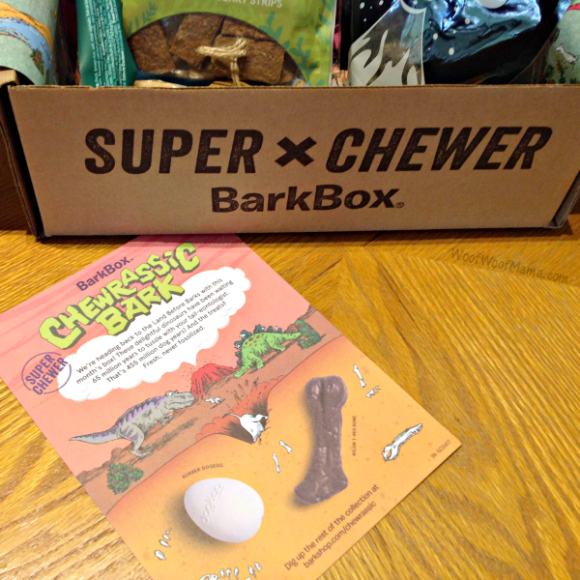 BarkBox Super Chewer Review June 2017 Chewrassic Bark Edition Woof