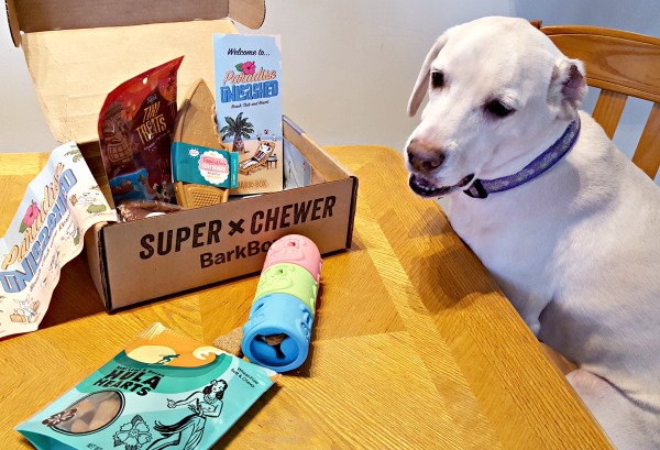 Super Chewer Barkbox Review February