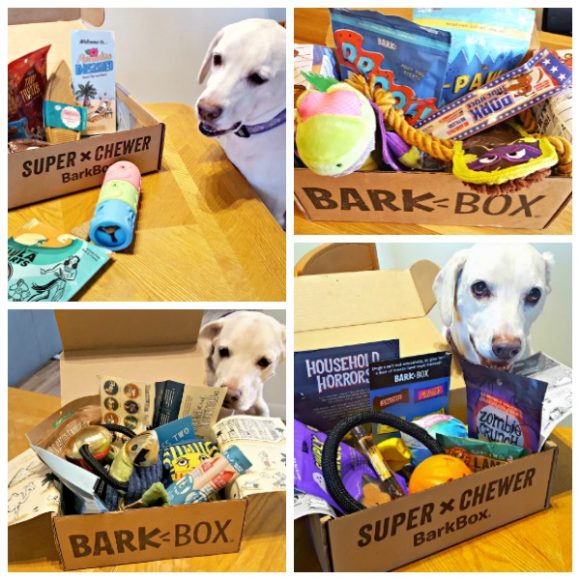 BarkBox or Super Chewer BarkBox 5 for National Dog Day Woof Woof Mama