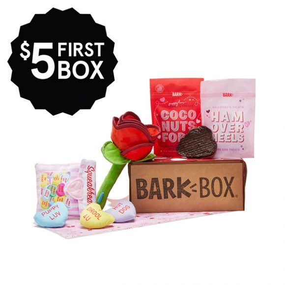 Valentine's Day BarkBox + FREE Shipping Woof Woof Mama