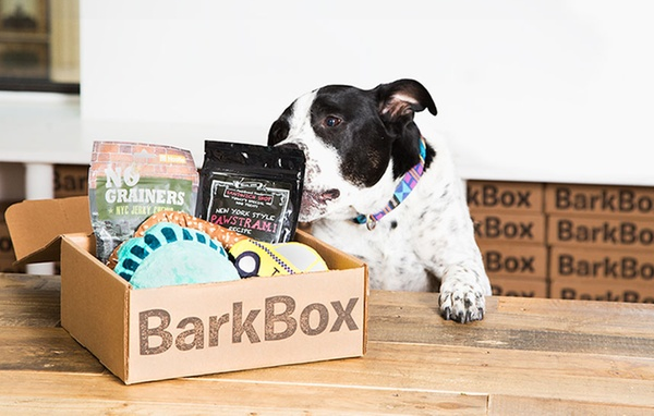 BarkBox deal with bonus toy