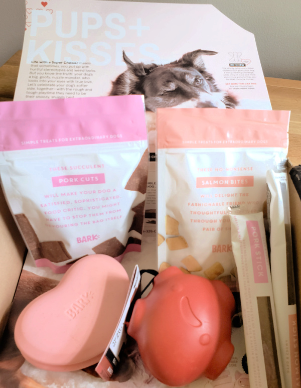 February Super Chewer Box Review + Coupon Pups and Kisses Woof Woof Mama