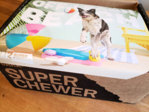 June Super Chewer Box Review